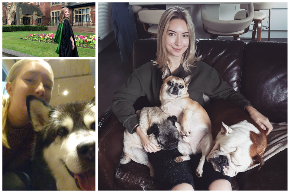 Why Doesn't My Husky Howl? 6 Possible Reasons