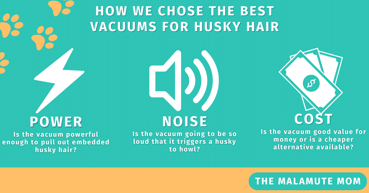 Custom graphic reads 'How did we chose the best vacuum for husky hair? Power, Noise, Cost'.