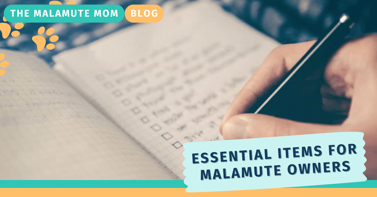 Essential Items for Adopting an Alaskan Malamute: Full Checklist